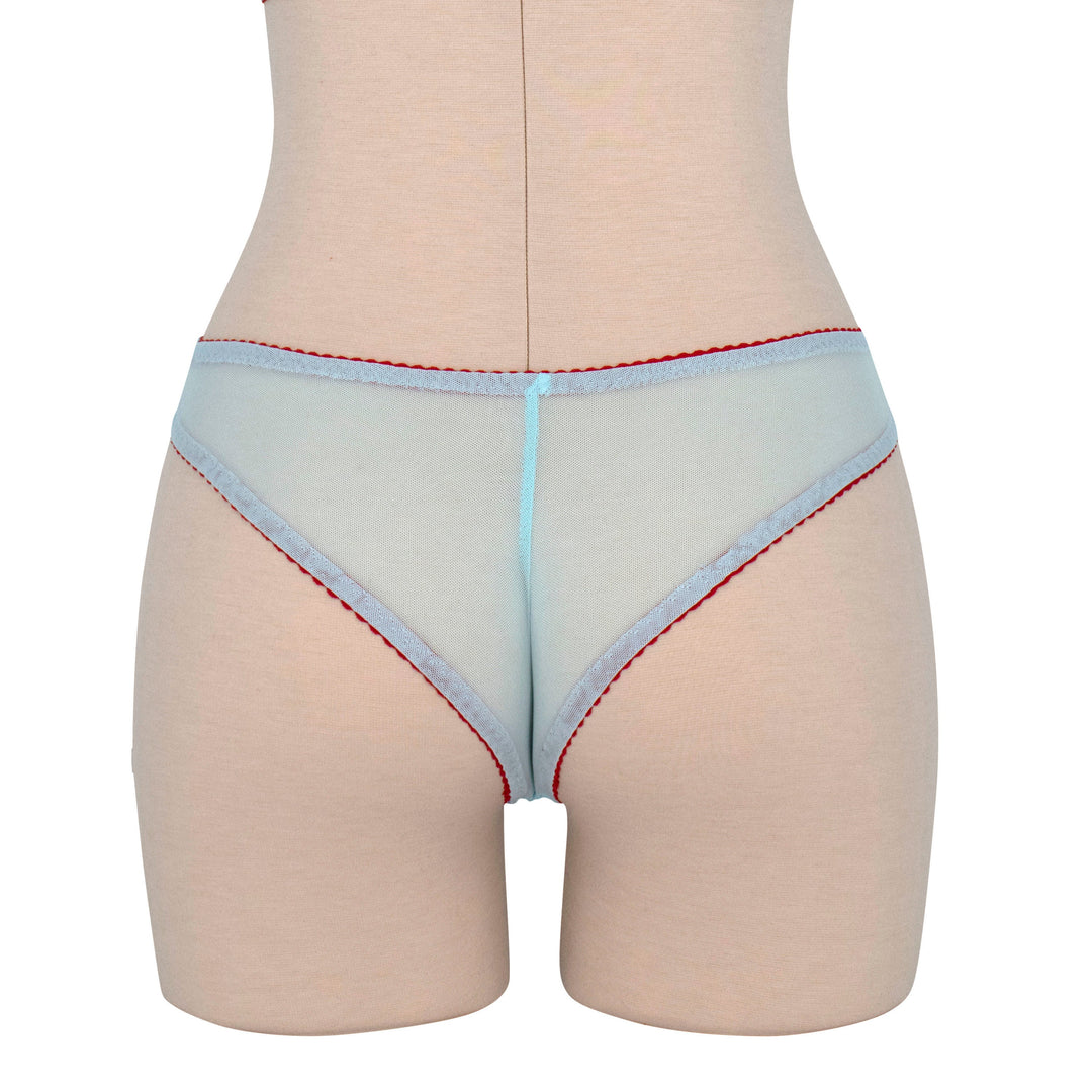 Turquoise and Red Mesh Hipster Panty