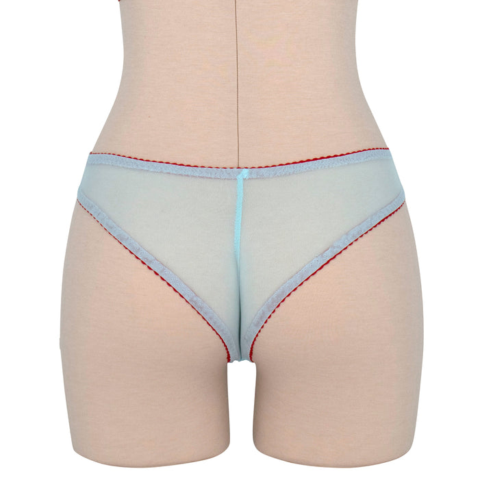 Turquoise and Red Mesh Hipster Panty