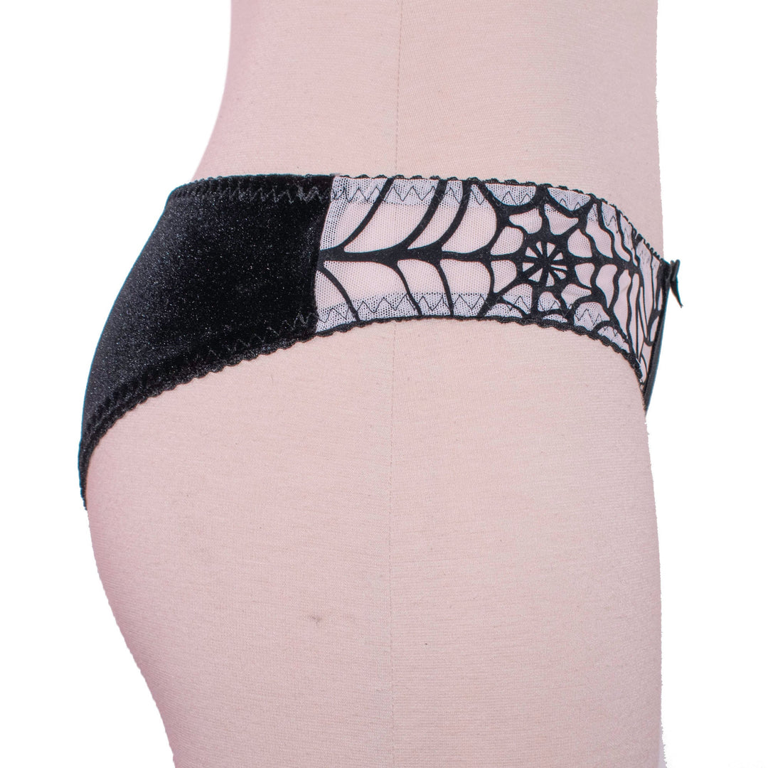 Spiderweb  Hipster Panty